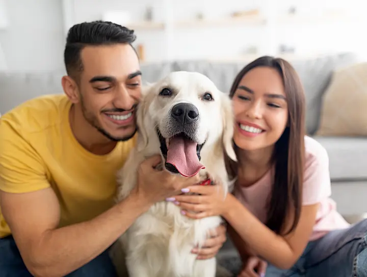 Living with pets