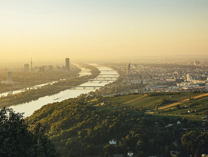 Wienblick Kahlenberg