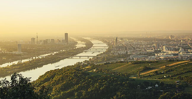 Wienblick Kahlenberg