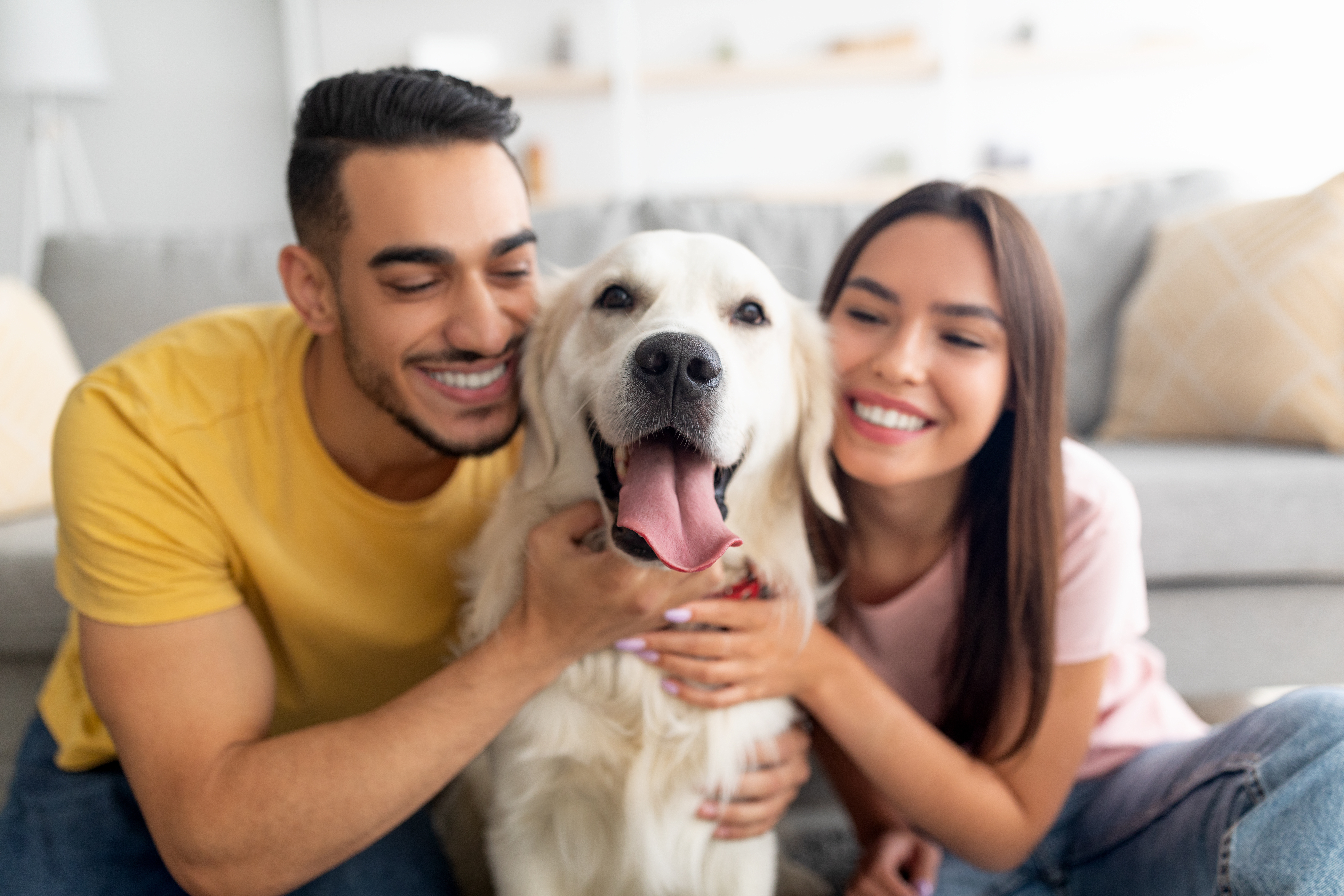Living with pets 